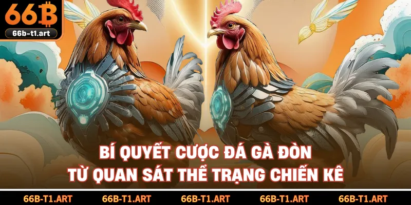 Bí Quyết Cược Đá Gà Đòn Từ Quan Sát Thể Trạng Chiến Kê