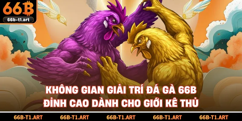 Không Gian Giải Trí Đá Gà 66B Đỉnh Cao Dành Cho Giới Kê Thủ