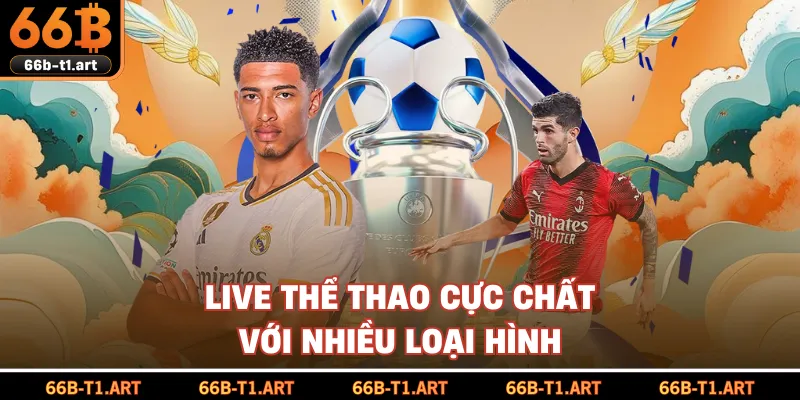 Live Thể Thao Cực Chất Với Nhiều Loại Hình